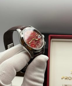 Alternative view of Seiko Alpinist "Red Desert" SPB489J
